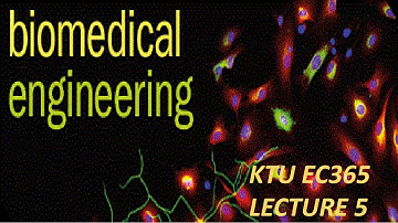 #meetup study#KTU EC365 BIOMEDICAL ENGINEERING#
