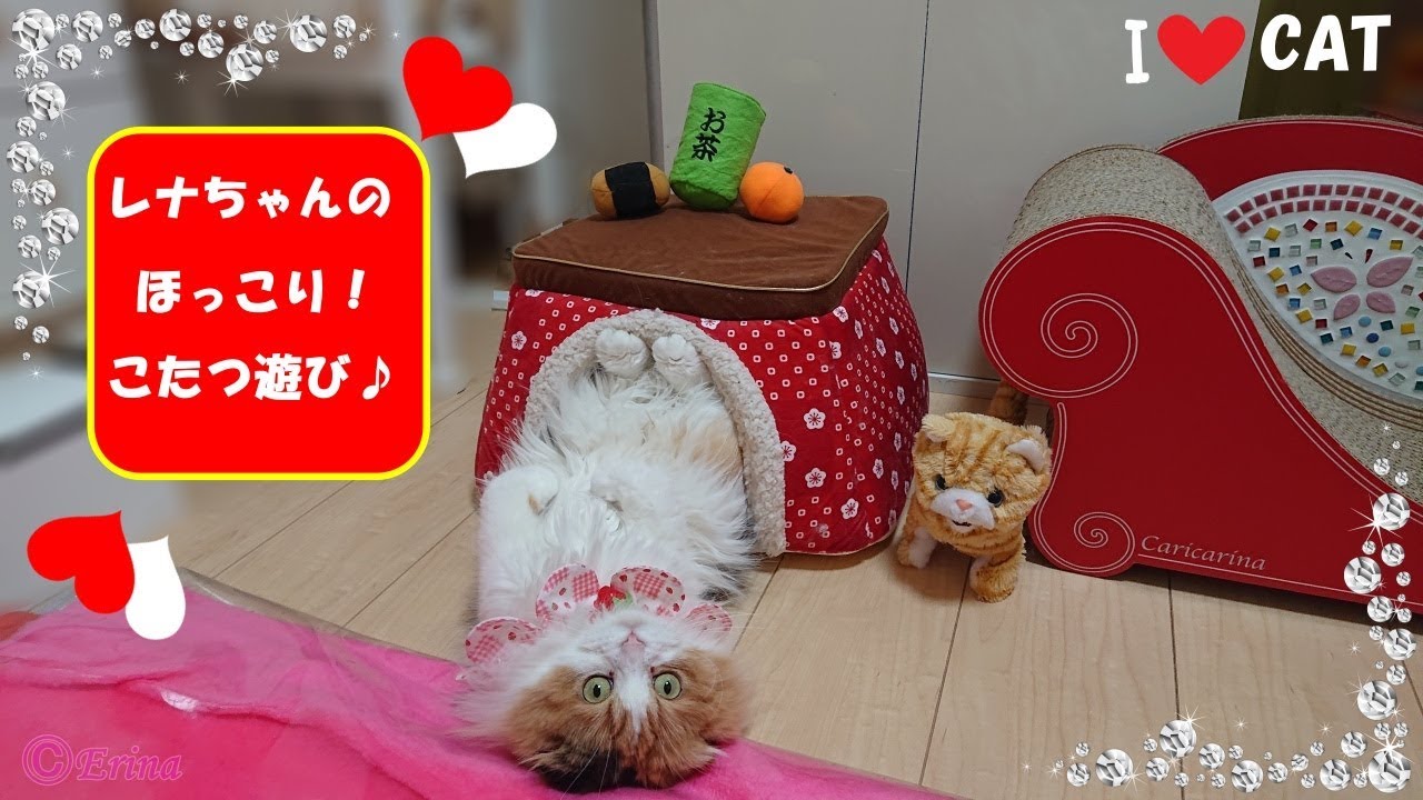 猫川柳 23 無邪気な 5 こたつ遊びに 7 癒される 5 猫のお気に入りのこたつ Cat S Favorite Kotatsu Youtube