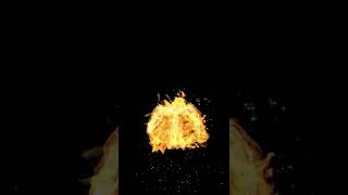 Video Effect Amazing Phoenix Video Effect
