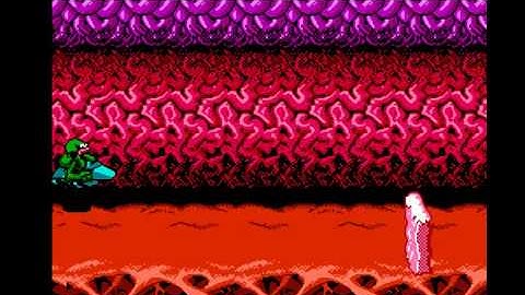 Battletoads NES: Level 3 - Turbo Tunnel