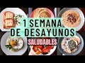 UNA SEMANA DE DESAYUNOS QUE TE AYUDARA CON TU PERDIDA DE PESO #9 | Michela Perleche