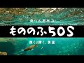 【渓流釣り】コレが「もののふ」の力！ 2022年最美で最強ルアーで釣る尺上岩魚！！