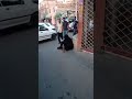 رجال متنكر بلبس عبايه يشحذ وكشفوه