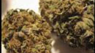 LIQUID THC & RAZZLE BERRY NUGS -  The WEED Report Episode 10