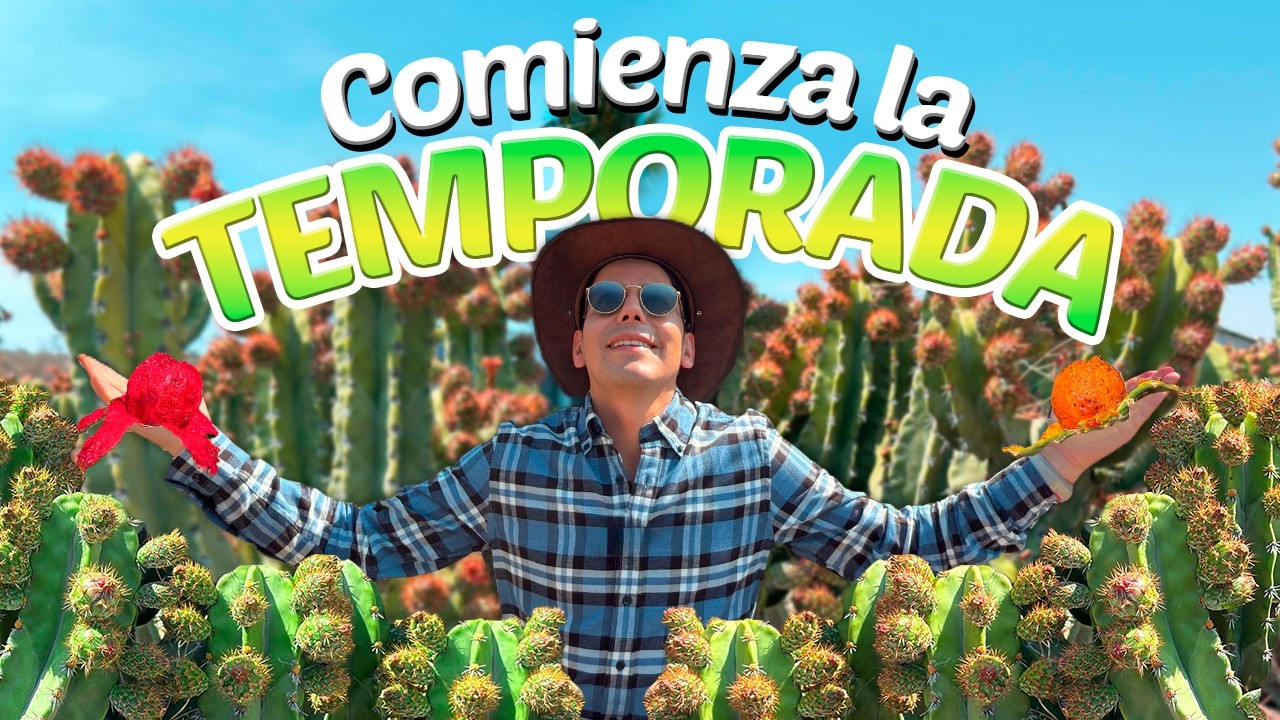 PITAYAS EXOTICAS producto de alto valor