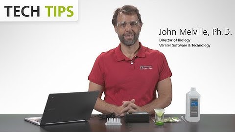 Plant Pigment Spectra Using Go Direct® SpectroVis® Plus