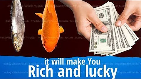 This will make you Rich and Lucky | Fish Aquarium attracts Good Luck | Vastu Shastra, Feng Shui - DayDayNews