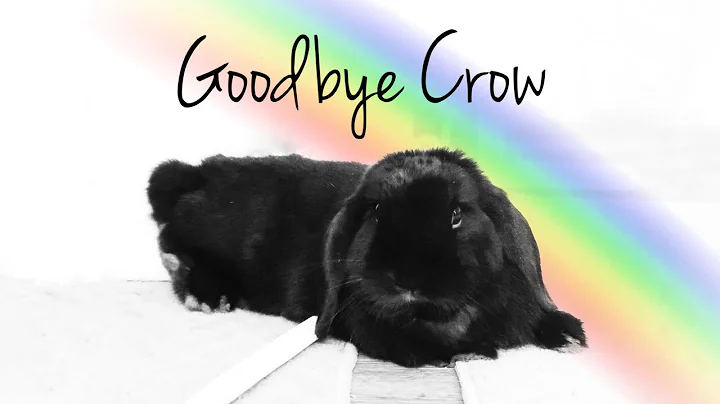 Rest In Peace Crow