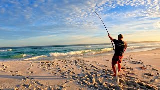 South Coast Beach Fishing 6.0 The search for the elusive Mulloway