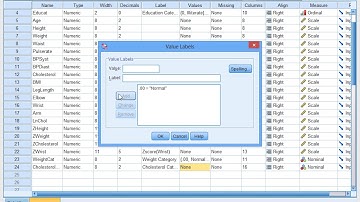Measuring Relative Risk of an Event Odds Ratio in SPSS
