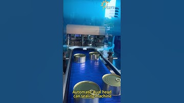 Automatic dual head can sealing machine, Double head can seamer machine