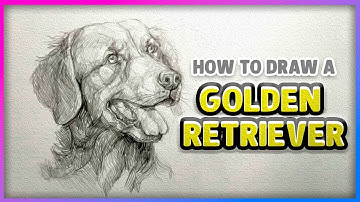 How to Draw a Realistic Golden Retriever 🐶 | Step-by-Step Pencil Portrait for Beginners #drawing