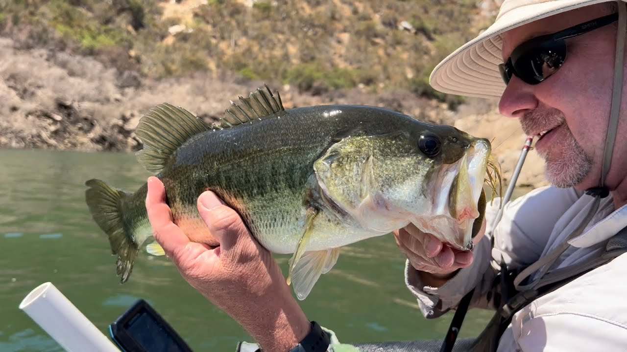 San Vicente Reservoir: Late Summer Bass Fishing