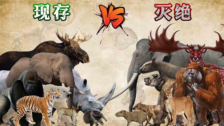 同类动物把现存和灭绝的做一个对比，史前动物出没，你发现了什么 - 天天要闻