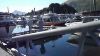 marina boats in Alaska USA