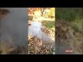 Limpopo teenagers invent robotic firefighter
