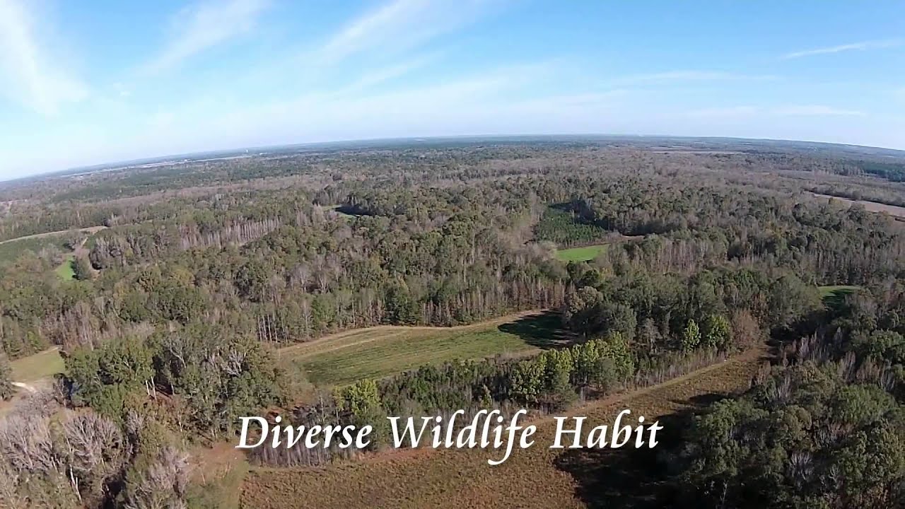 Land for Sale Alabama Lowndes County Tutt Land Company Panther