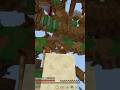 Bruh tried to flee the scene 😭 'Im BATMAN' #minecraft #BATMAN #zeqapvp