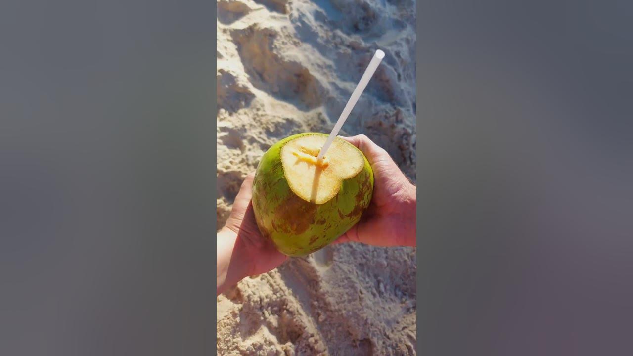 PÉ NA AREIA, ÁGUA DE COCO, BEIRA DO MAR...