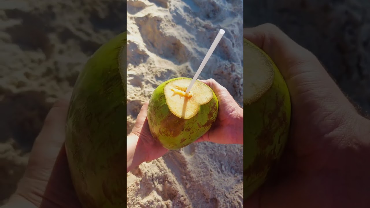 PÉ NA AREIA, ÁGUA DE COCO, BEIRA DO MAR...