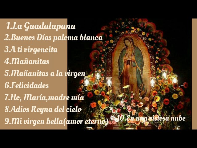 Cantos a la virgen de Guadalupe class=