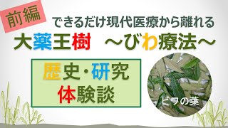 #84 Ⓟ できるだけ現代医療から離れる～びわ療法の歴史・研究・体験談（前編）～