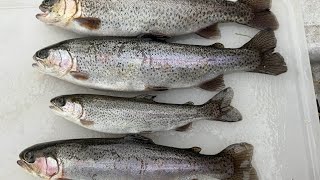 3 Ways to Clean Trout