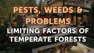 Limiting Factors of Temperate Forests