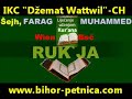 Al Ruqyah Al Shariah Therapieanleitung Quranrezitation Sihr Jinns Quranheilung-Sheikh Mohamed Farag Mp3 Song