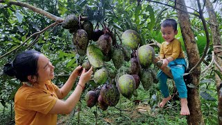 Happy Special Day With My Children - Picking Mangoes In The Garden - Processing And Selling