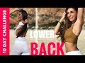 Get Rid of Accumulated Fat | 10 Day Lower Back and Waist Challenge