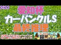【2023愛知杯・カーバンクルSレース予想】今週は今年初めての雨開催が濃厚!!冬のタフ馬場+雨でスタミナ型の消耗戦になるか!?