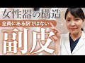 副皮で変わる女性器の見た目！症例写真で比較します【婦人科形成】