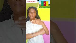 Lettre D LSF : DRAPEAU. #lsf #languedessignes #pourtoi