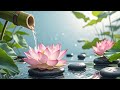 Healing of the Mind 🌱 Bamboo Water Sounds & Relaxing Music | Heavenly Water