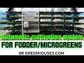 Microgreens and fodder vertical growing systembk  conveyor culture