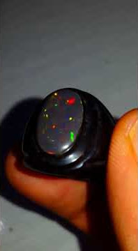 Kembang Rincem Bo siap Pakai , Ring jenis Tanduk Kerbau Minat wa pak