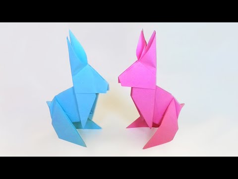 Vidéo: Comment faire un lapin à faire soi-même ? Instruction étape par étape