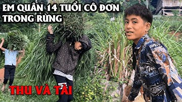EM QUÂN 14 TUỔI CÔ ĐƠN TRONG RỪNG .ĐẾN GẶP  TRI KỶ .TÀI & THU  NHẬN MÓN QUÀ KHỦNG TỪ MTQ