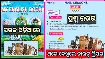 Dogs Class 4 English lesson 1 Question answer Odia medium | main lessons | lesson 1 dogs class 4