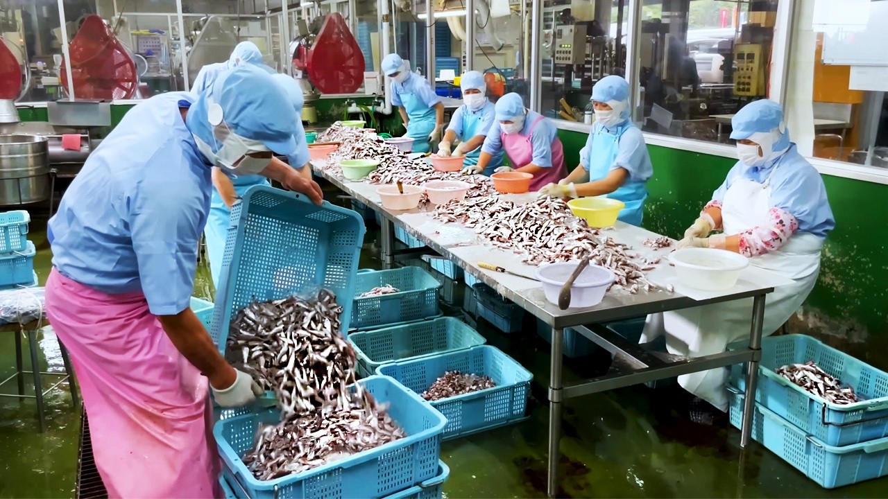 Inside Japan’s Most Efficient Factories 20,000 Gyoza 13,000 Fish Daily