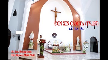 CON XIN CẢM TẠ (Tv. 137 đáp ca Lễ Tạ Ơn)//St: Lm. Hoàng Luật