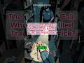 The Haunting Call: Who Really Killed Tracy Kirkpatrick? #history #explore #fpyシ #facts #fyourpage