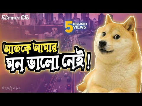 ভিডিও: আপনার জুতা চেঁচানো বন্ধ করার 3 টি উপায়