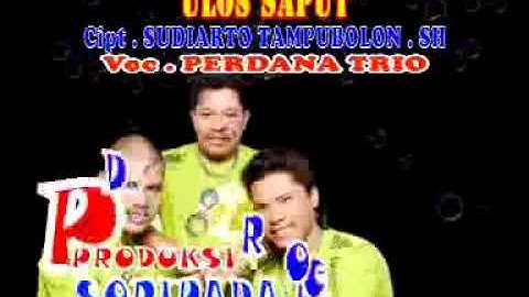 Perdana trio ulos saput 2