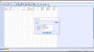 Entering Likert Scale Data into SPSS