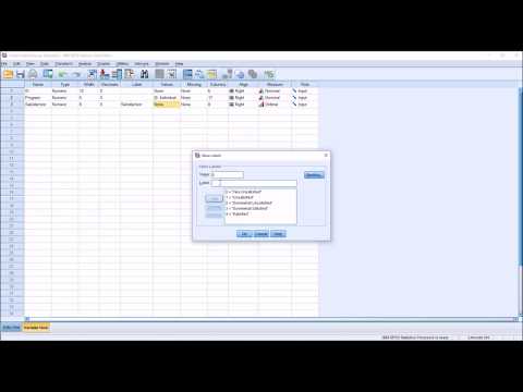 Entering Likert Scale Data into SPSS