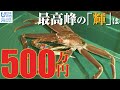 ズワイガニ漁解禁　石川県ブランド「加能ガニ」と「香箱ガニ」 日本財団 海と日本PROJECT in いしかわ 2021 #20