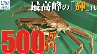 ズワイガニ漁解禁　石川県ブランド「加能ガニ」と「香箱ガニ」 日本財団 海と日本PROJECT in いしかわ 2021 #20