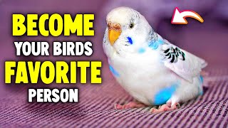 How Birds Choose Their Favorite Person